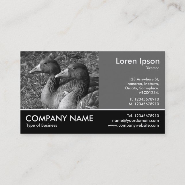 Footed Photo - 60pc Gray - Graylag Geese B&W Business Card (Front)