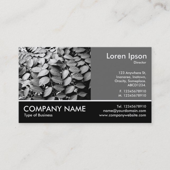 Footed Photo - 60pc Gray - Leaves Business Card (Front)