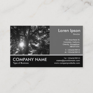 Footed Photo - 60pc Gray - Sun Through Trees Business Card