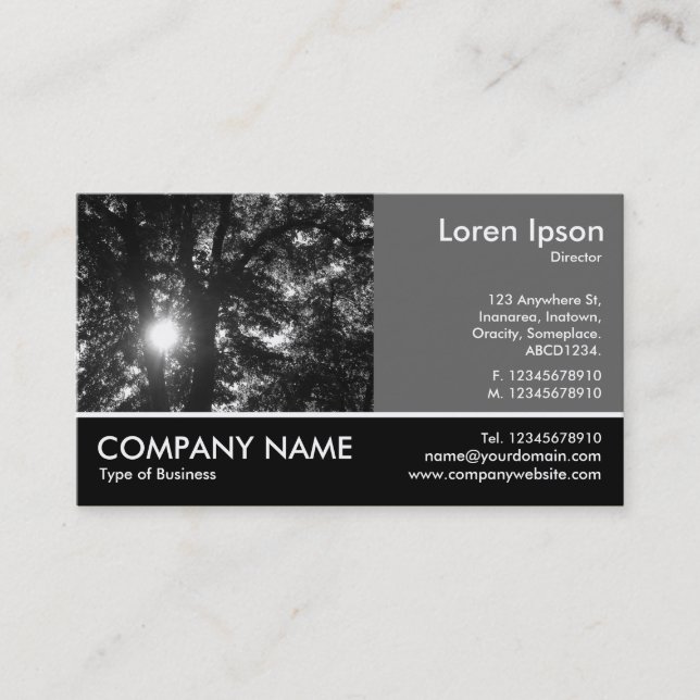 Footed Photo - 60pc Gray - Sun Through Trees Business Card (Front)