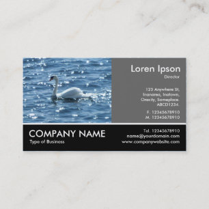 Footed Photo - 60pc Gray - Swan Business Card