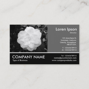 Footed Photo - 60pc Gray - White Camellia Business Card
