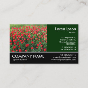 Footed Photo - Bed of Red Tulips 01 Business Card