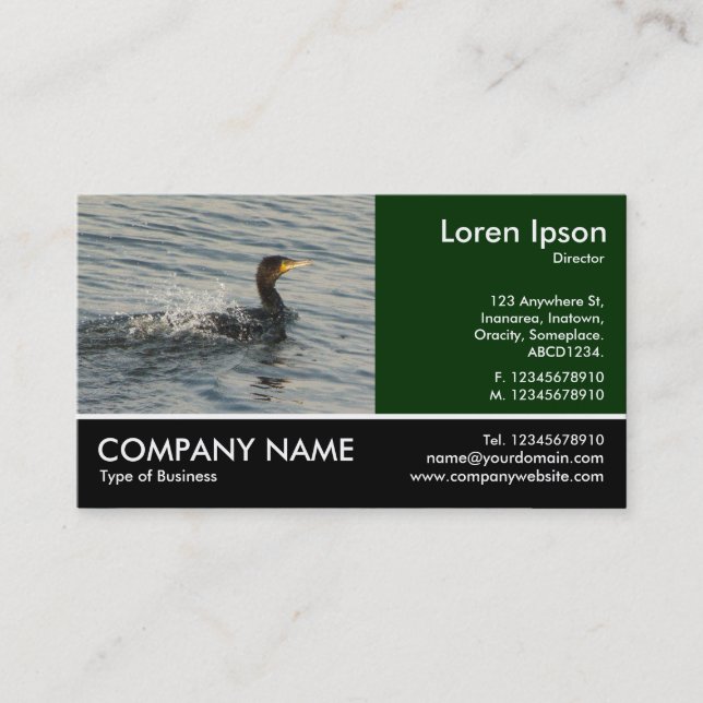 Footed Photo - Cormorant Learning to Swim Business Card (Front)