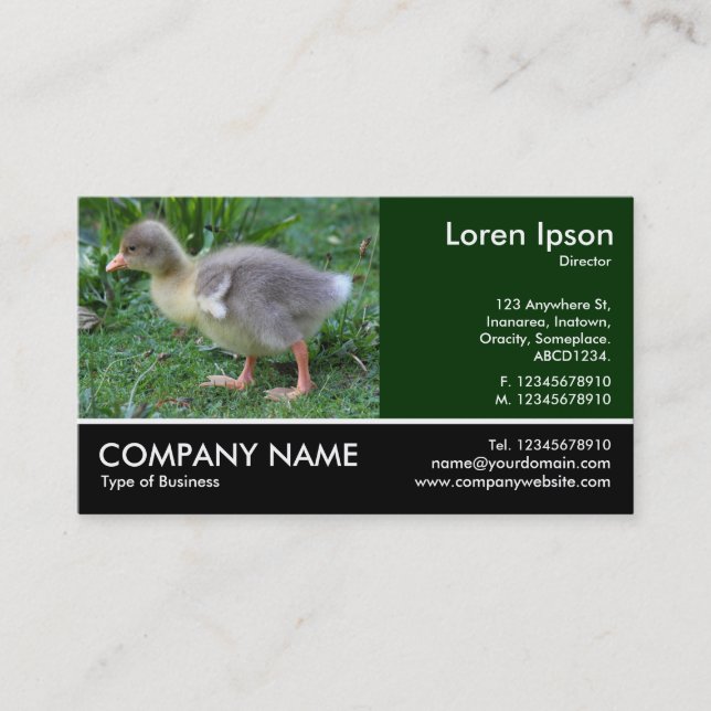 Footed Photo - Gosling 02 Business Card (Front)