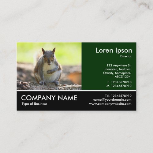 Footed Photo _ Grey Squirrel Business Card