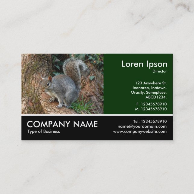 Footed Photo - Grey Squirrel Business Card (Front)