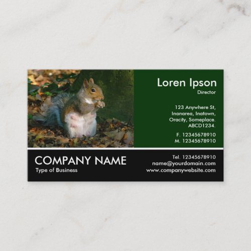 Footed Photo _ Grey Squirrel Business Card