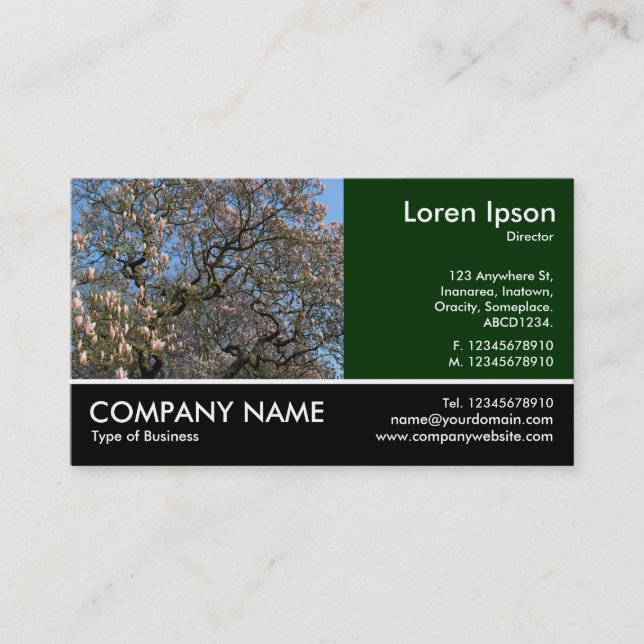 Footed Photo - Magnolia Tree in Blossom Business Card (Front)