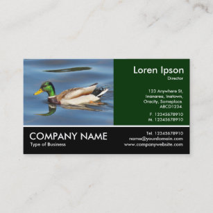 Footed Photo - Mallard Duck Business Card