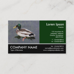 Footed Photo - Mallard Duck Business Card