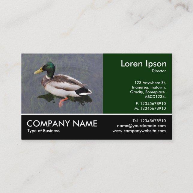 Footed Photo - Mallard Duck Business Card (Front)