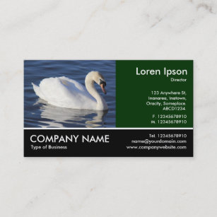Footed Photo - Mute Swan Business Card