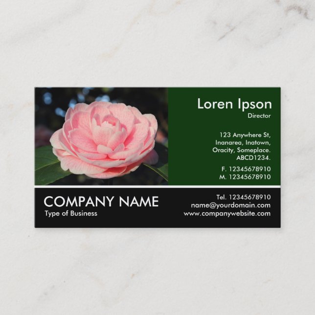 Footed Photo - Pink Camellia Business Card (Front)