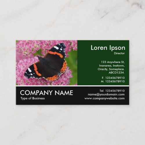 Footed Photo _ Red Admiral on Sedum Autumn Joy Business Card