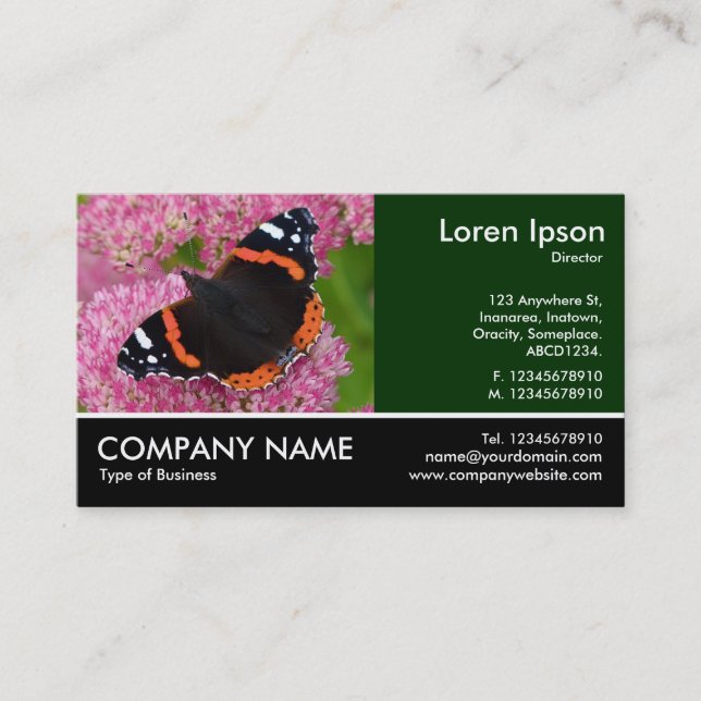 Footed Photo - Red Admiral on Sedum (Autumn Joy) Business Card (Front)