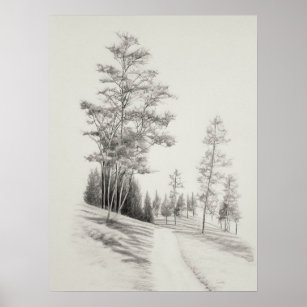 How To Draw Trees