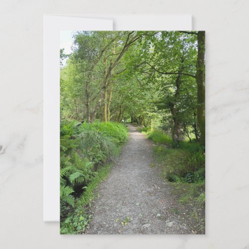 Footpath Through Woods on Isle of Bute Scotland Holiday Card