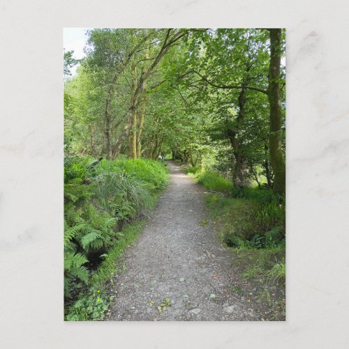 Footpath Through Woods on Isle of Bute Scotland Holiday Postcard