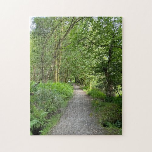 Footpath Through Woods on Isle of Bute Scotland Jigsaw Puzzle