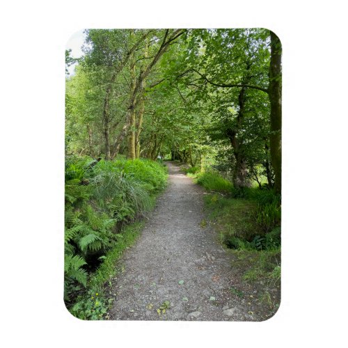 Footpath Through Woods on Isle of Bute Scotland Magnet