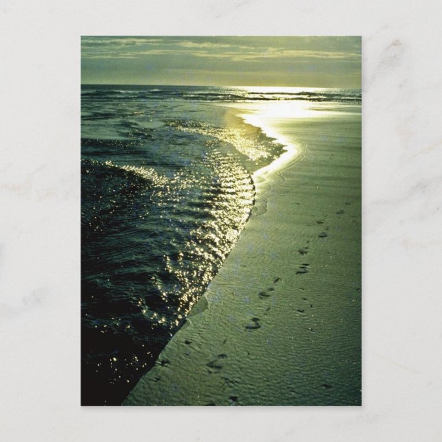 Footprints In Sand, Piha, North Island Postcard (Front)