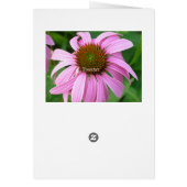 Footprints in the Sand (Back)