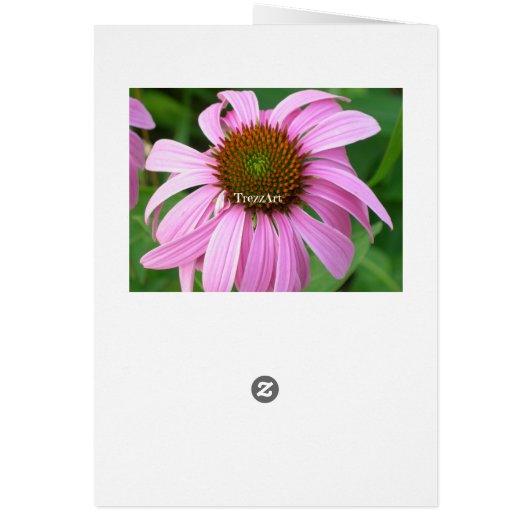 Footprints in the Sand (Back)