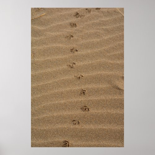 Footprints in the sand poster