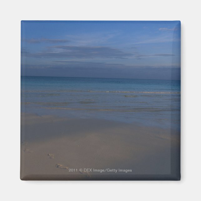 Footprints on beach magnet (Front)