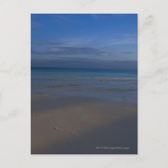 Footprints on beach postcard (Front)