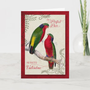 For a Couple on Valentine's Day Lorikeet Parrots Holiday Card
