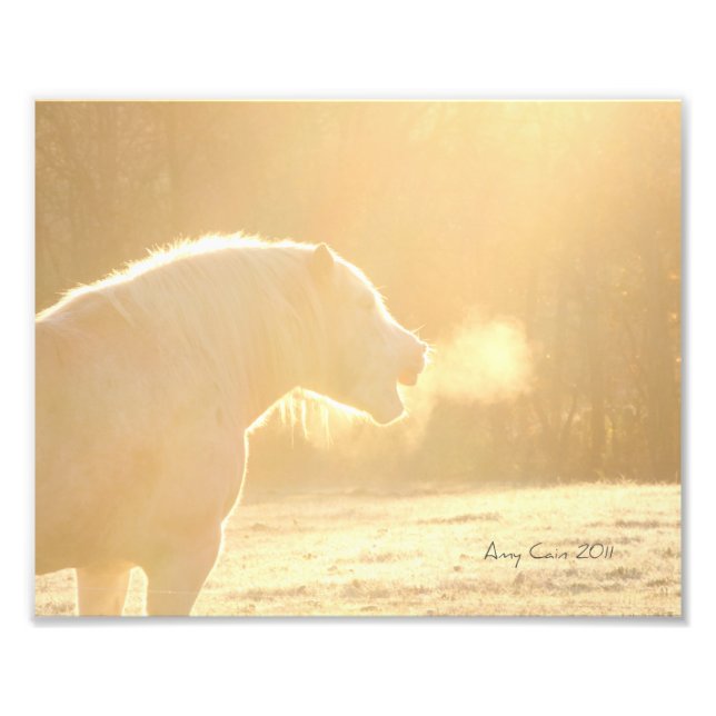 For a horses laughter photo print (Front)