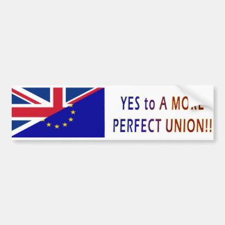 For A More Perfect Union Bumper Sticker