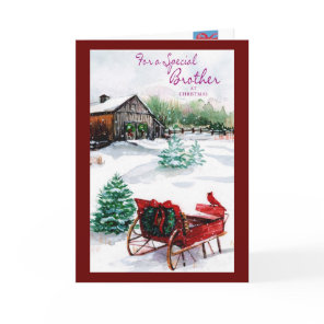For A Special Brother Holiday Card