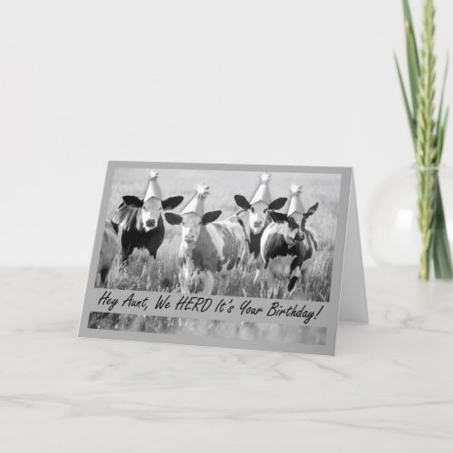 For Aunt Birthday Funny Cows in Hats Card