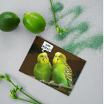 For Brother Green Parakeets Funny Birthday Card<br><div class="desc">A funny and colorful birthday card for one's brother that features the photo image of a pair of bright,  green Parakeets,  also call Budgies. Select your card finish style.</div>