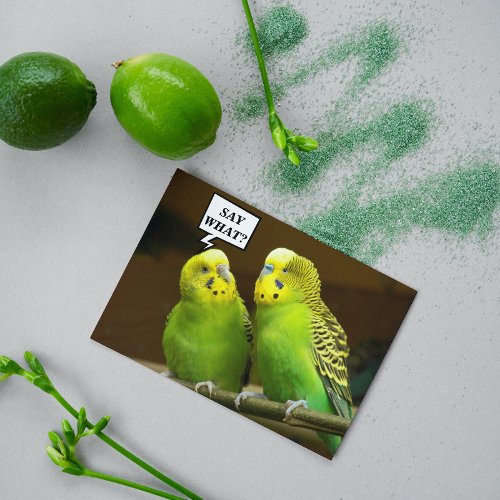 For Brother Green Parakeets Funny Birthday Card