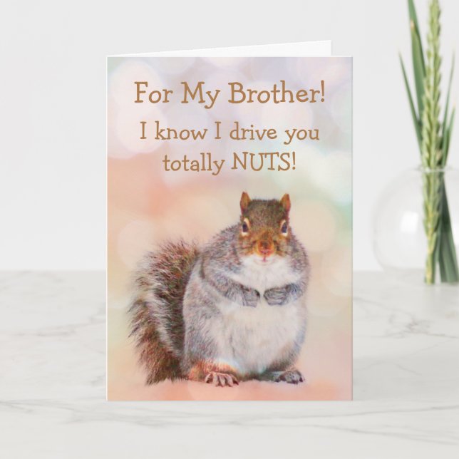 For Brother Squirrel Birthday Card (Front)