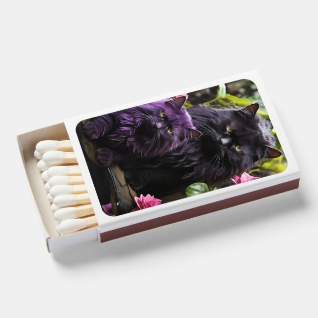 For Cat Lovers: Matchboxes (Front Open)
