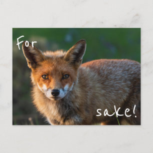 For Fox Sake Postcard