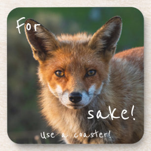 Funny Fox Coasters Drink Coasters Zazzle