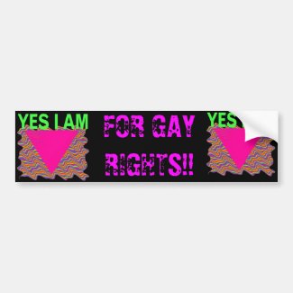 FOR GAY RIGHTS!! Bumper Sticker