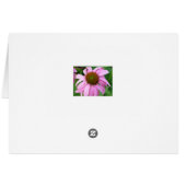 "For God did not give us a spirit of timidity" (Back Horizontal)