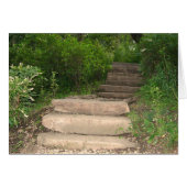 "For God did not give us a spirit of timidity" (Front Horizontal)