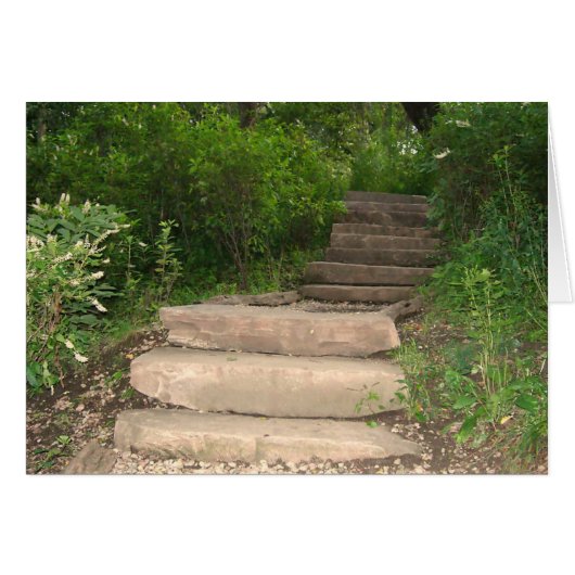 "For God did not give us a spirit of timidity" (Front Horizontal)