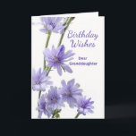 For Granddaughter Birthday Chicory Flowers Card<br><div class="desc">Happy Birthday Wishes,  paper greeting card for a granddaughter. Card features a floral photograph of chicory flowers in shades of light purple. Poem inside. Personalize the interior verse as desired. Art,  image,  and verse copyright © Shoaff Ballanger Studios,  2023.</div>