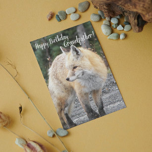 https://rlv.zcache.com/for_grandfather_red_fox_wildlife_birthday_card-r_55r1e_307.jpg