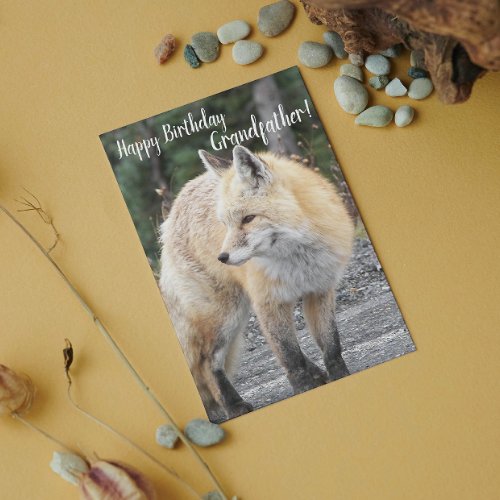 For Grandfather Red Fox Wildlife Birthday Card