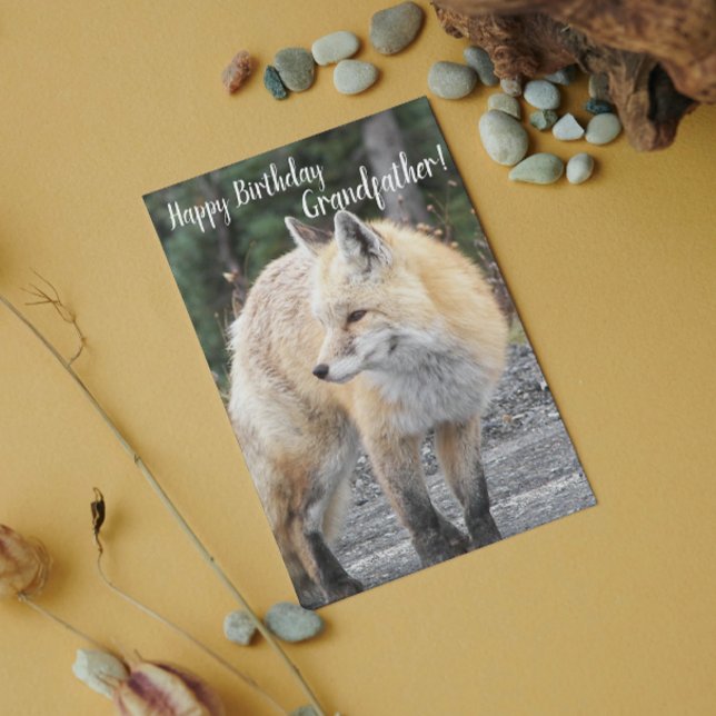 For Grandfather Red Fox Wildlife Birthday Card (In Situ)